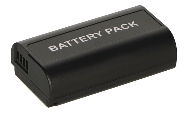 DMW-BLJ31E Battery (2 Cells)