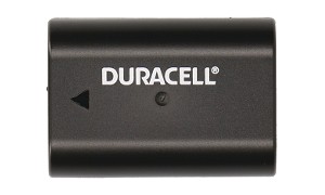 Lumix DC-G9 Battery (2 Cells)