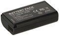 DMW-BLJ31E Battery (2 Cells)