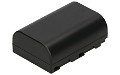 Lumix DC-G9 Battery (2 Cells)